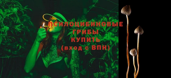 apvp Баксан