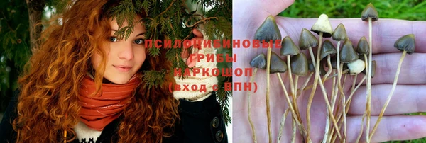 apvp Баксан